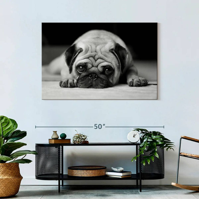 Brampt Sad Pug, 30" H x 45" W