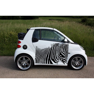 Tête de zèbre, motif de rayures de zèbre, motif de voiture, vinyle, graphisme, Tr059