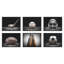 «Vintage Baseball on Black» par Saint and Sailor Studios, reproduction d'art sur toile encadrée