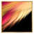Gold Floater Framed Canvas selected