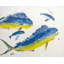 Mahi II By John Beard - Gallery Wrapped Canvas Print-1902984367-1906064793