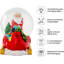 Christmas Snow Globe
