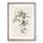 Oak Framed selected