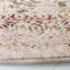 Area Rug in Ivory/Brown-49787269
