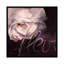 " Fleur I " by Willem Haenraets-29085570-72793407-72793408