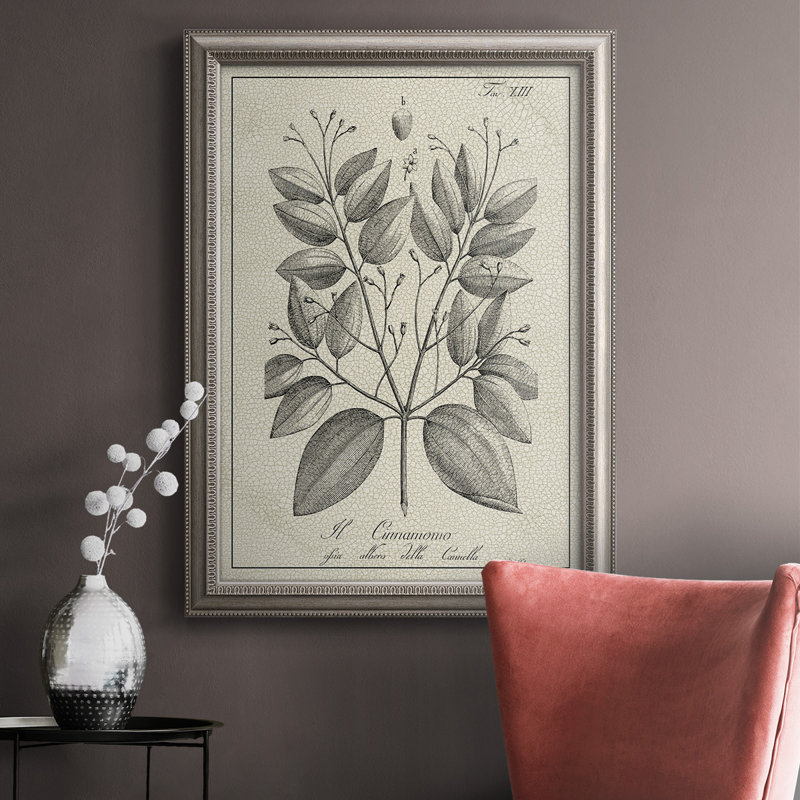 Antique Botanical VII - Reproduction d'art sur toile encadrée, L 24 po x H 36 po