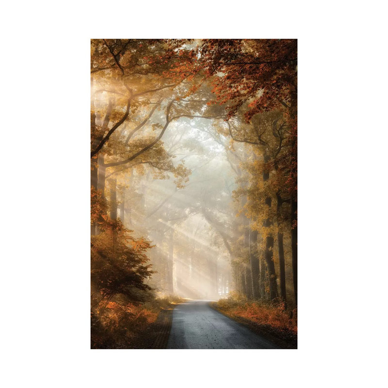 Bliss Is by Lars Van De Goor - Wrapped Canvas Print, 20.32 cm H x 30.48 cm W