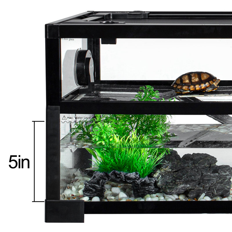 Reptile Starter Kit