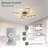 Jacco 37'' Ceiling Fan with 8 LED Lights