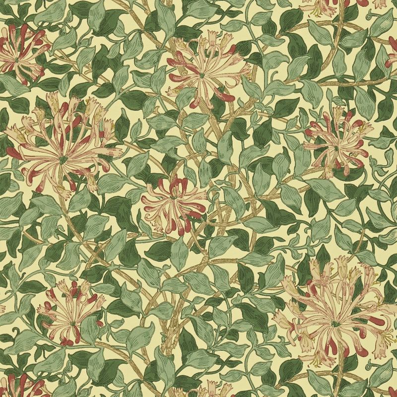 Honeysuckle 10.05m x 52cm Matte Wallpaper Roll