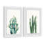 « cactus fleuri v diptych », ensemble de 2 reproductions encadrées-29546895