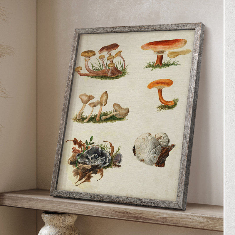 Reproduction encadrée «Mushroom Species X» - bois massif, H 11 po x l 9 po