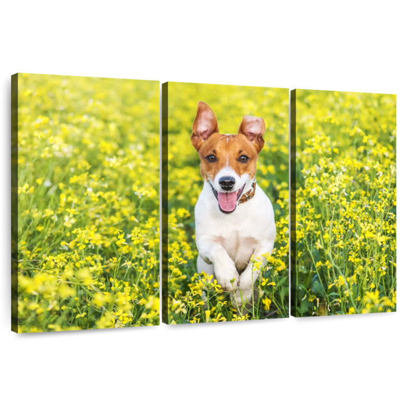 Brampt Happy Jack Russell, H 32 po x l 50 po