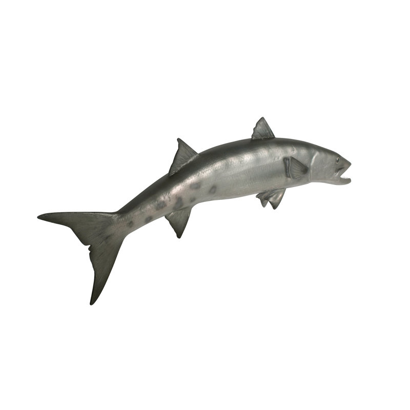 Sculpture à fixation murale barracuda