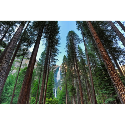 " Yosemite Falls "
