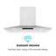 Eliana 95.5cm Ducted Wall Mount Cooker Hood