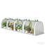Serre portative, petite serre large, blanche-124589511