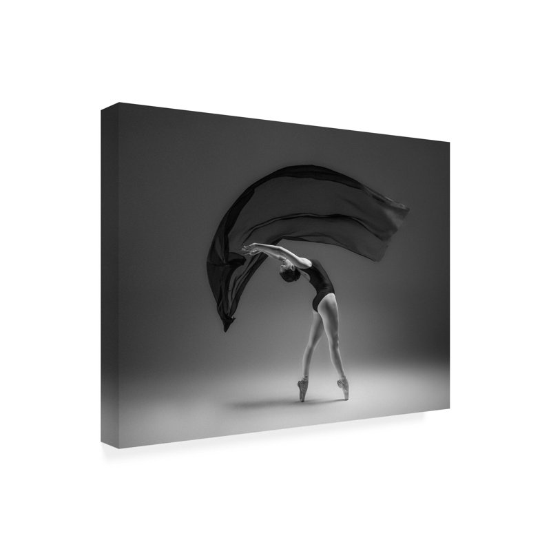 "Alvares" par Rob Li, impression sur toile non encadrée, L 19 po x H 14 po