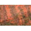 Tapis de salon moderne à imprimé nature 5 x 9