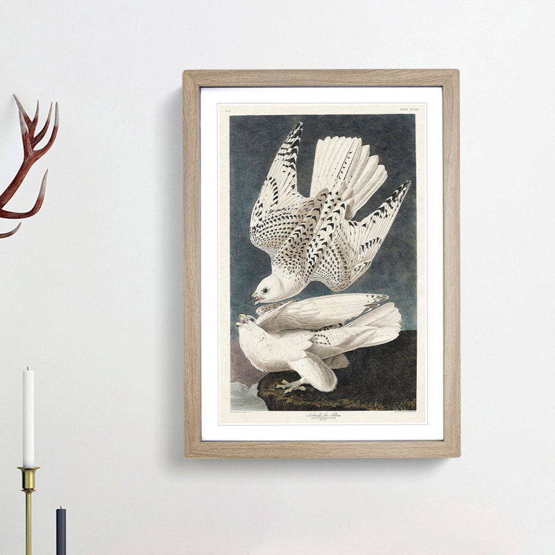 Two Gyrfalcons by John James Audubon - Framed Print, Oak Framed, 48cm H x 36cm W x 2cm D