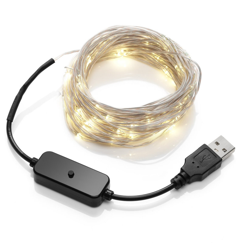 1000cm Indoor / Outdoor String Lights