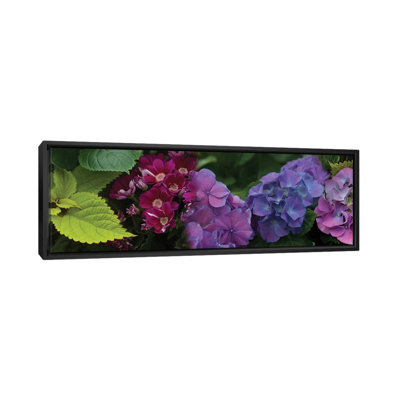 Close-Up Of Daisy And Hydrangeas Flowers by Panoramic Images - Wrapped Canvas Panoramic Gallery-Wrapped Canvas Giclée