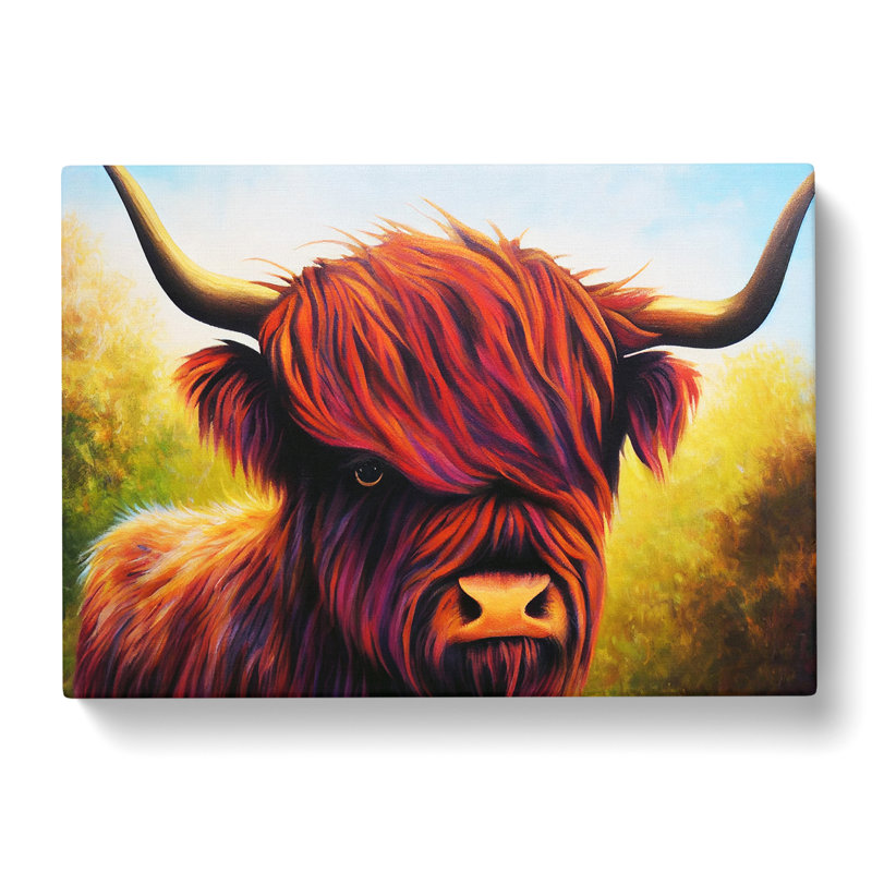 A Highland Cow - Wrapped Canvas