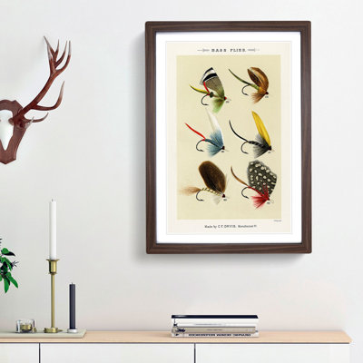 Bass Fishing Flies Versions 4 by Mary Orvis Marbury - Picture Frame Painting Print