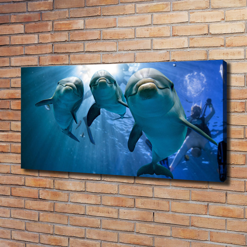 Three Dolphins - Wrapped Canvas Print