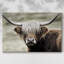 Animaux, paysage, série CCXV III-617546912