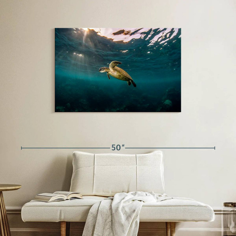Ningaloo Reef Sea Turtle, 26" H x 39" W