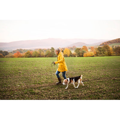 Nature d'automne par Halfpoint