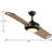 Edisto 54'' Ceiling Fan with LED Lights-438944847