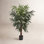 Rumy 54'' Faux Palm Tree in Pot