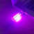 Purple est en rupture de stock