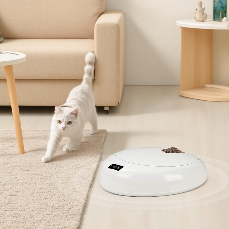 Hybrid Feeder/Toy
