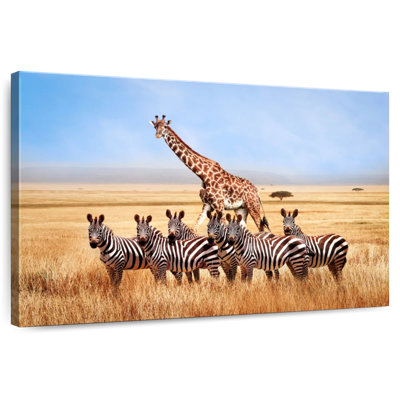 African Zebras And Giraffe