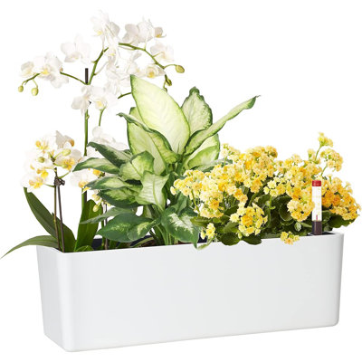 Boîte à fleurs allongée avec pots à fleurs 5,5