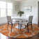  Alegandro Area Rug with Non-Slip Backing