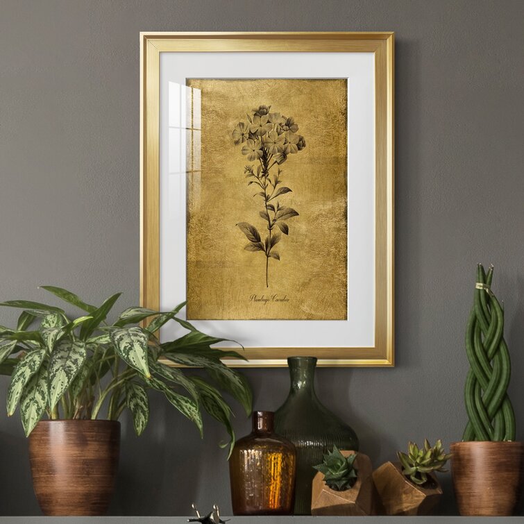 Lark Manor Gold Sketch Botanical II Framed On Paper Painting  Reviews  Wayfair