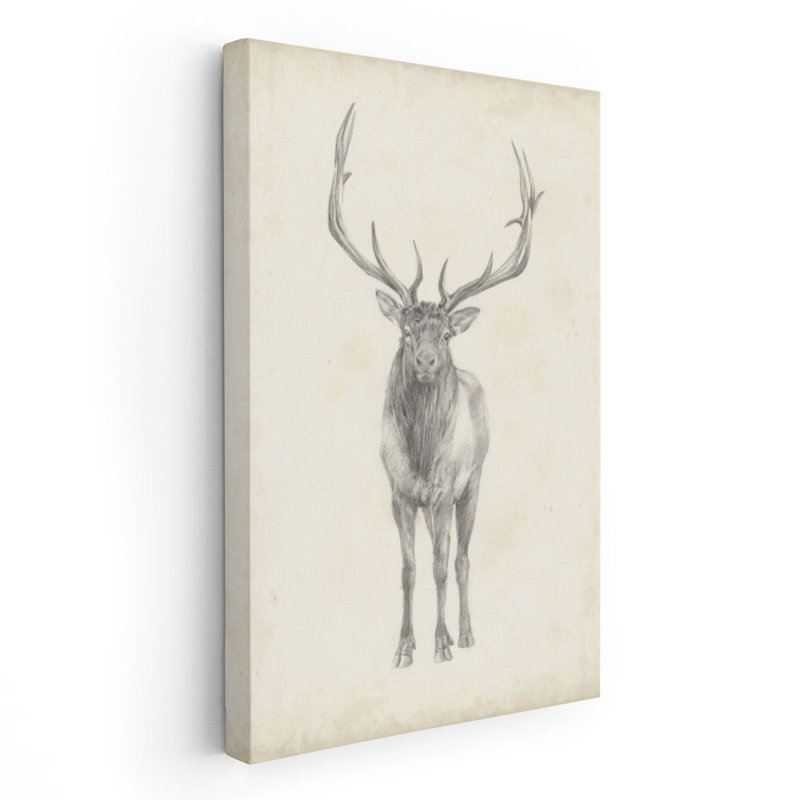 «Elk Study», reproduction d'art sur toile, H 36 po x l 24 po