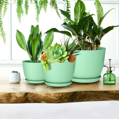 Pots à plantes d'intérieur avec drainage