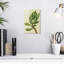 Plante grasse Harnek-108257230
