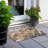 Machine Washable Indoor/Outdoor Xhevrie Gold Rug-43377644