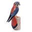 Figurine Silest American Kestrel
