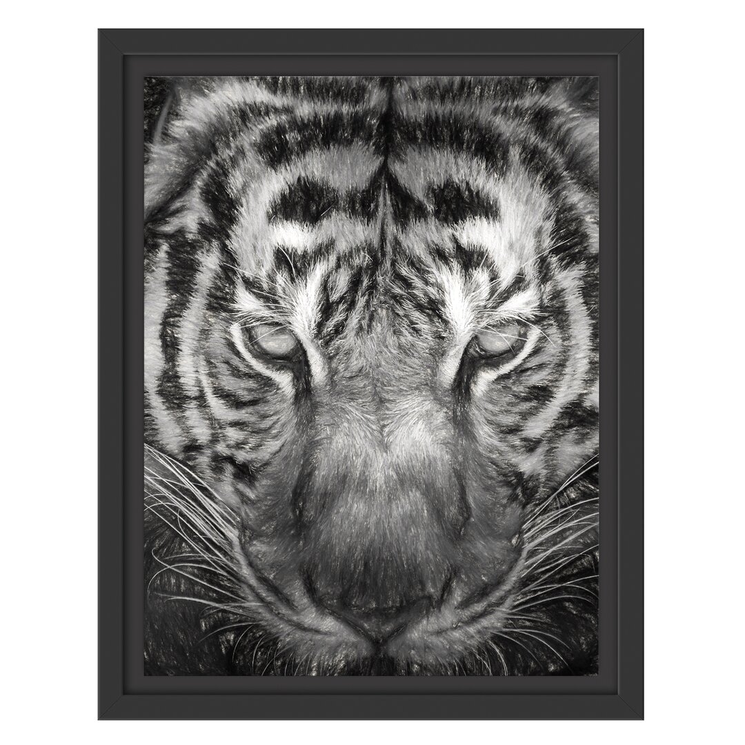 Gerahmtes Wandbild Tiger mit hellbraunen Augen Kunst