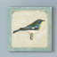 « parisian oiseau i », reproduction de peinture à l’acrylique sur toile tendue-33419423