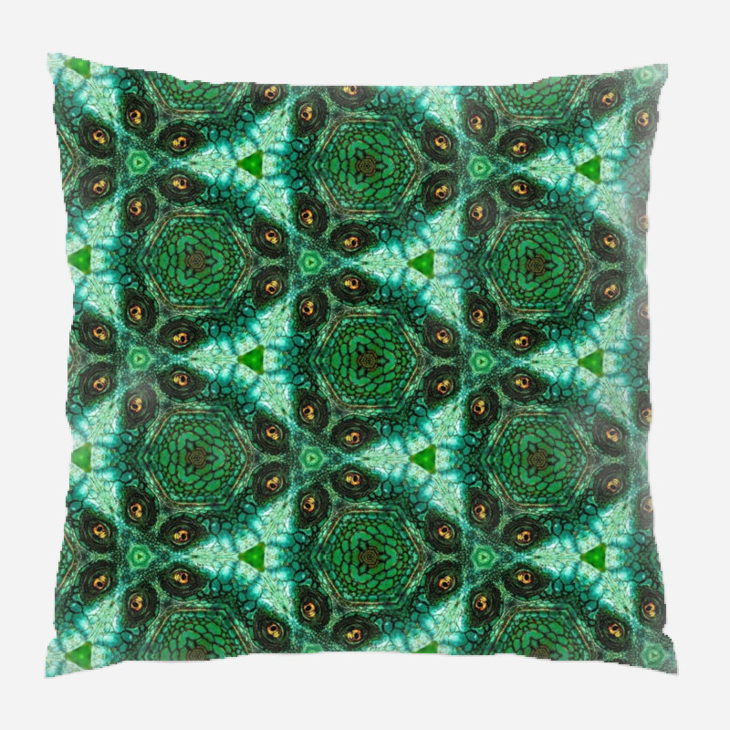 Coussin décoratif arrière-plan