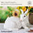 Fitz And Floyd Sunflower Rabbits Cookie Jar