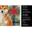 Red Shiba Inu Christmas PoinsettIas Kitchen Towel-2080584107